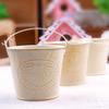 Garden Decor Creative Supplies Mini Metal Hanging Flower Pots Home Garden Green Plant Planter Nursery Tin Pots Accessories