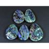 5Pcs Abalone Shell Fancy Cabochon Loose Natural Gemstone 210Cts. Lot 29-32MM C-1714