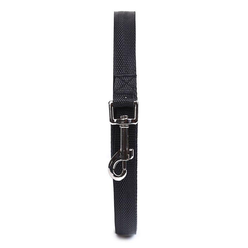Premium Quality Dog Leash For Long Obedience Recall Training Available In Multiple Lengths