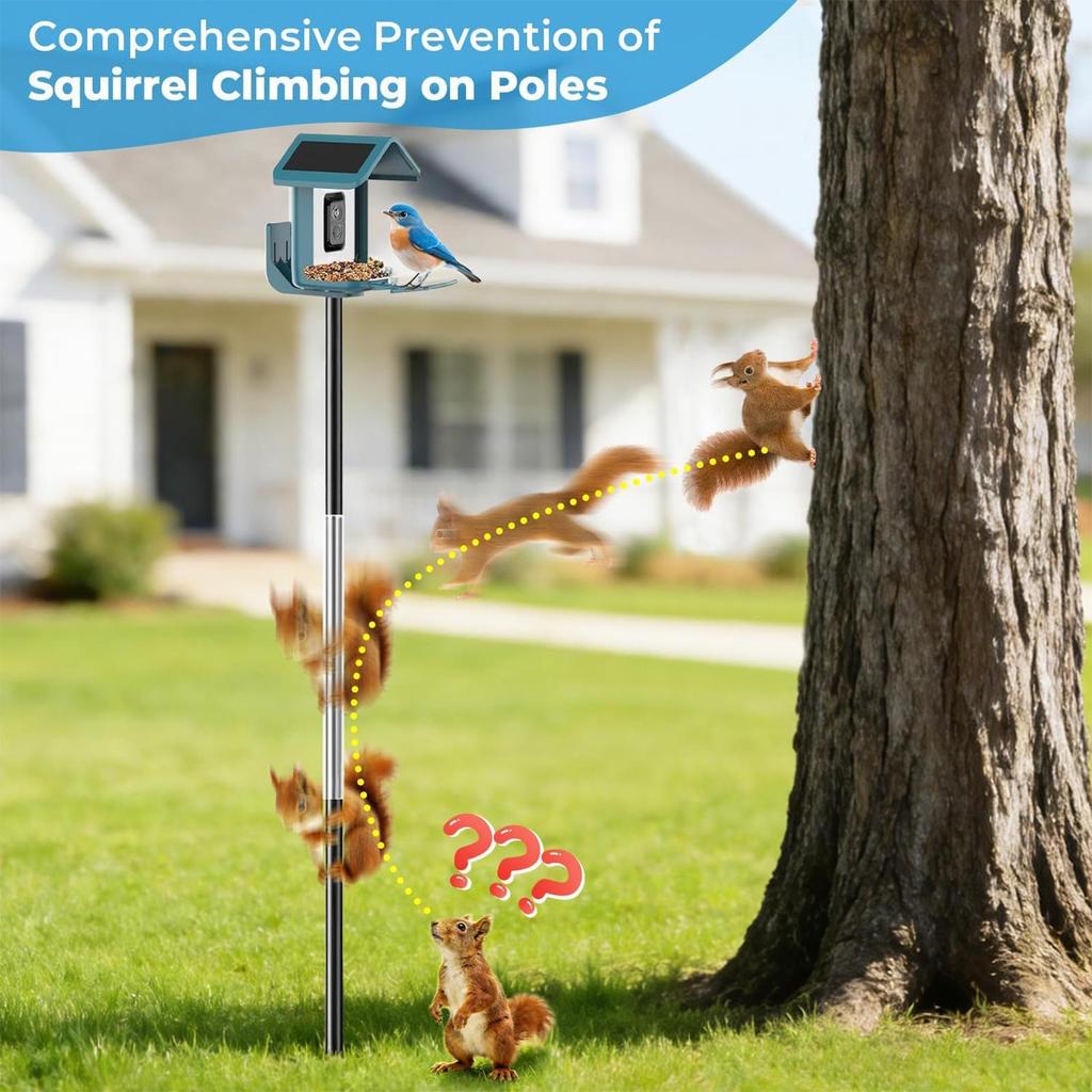 Bird Feeder Baffle Heavy Duty Waterproof Transparent Cover Bird Feeder Squirrel Baffle For Outside Backyard Garden Outdoor Yard
