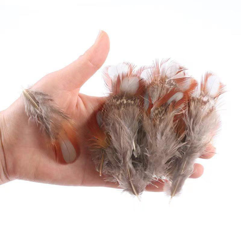 50Pcsdiy Jewelry Accessories Feather Diy Feather Headdress Corsage Hat Shoes Handicrafts Decorative Materials