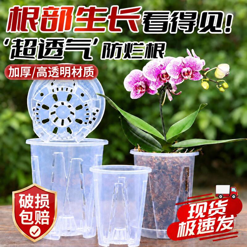 Padi Ling Transparent Root Control Orchid Pot with Tray