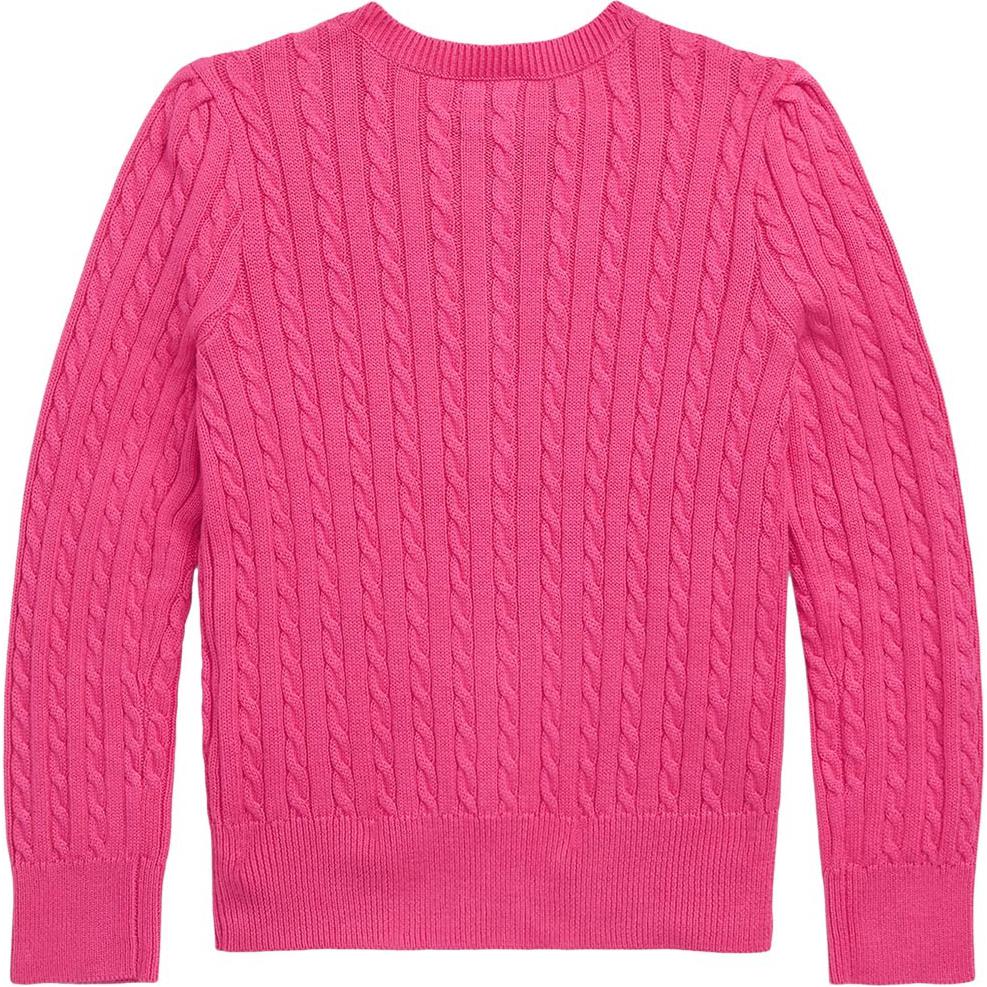 Polo Ralph Lauren Kids FW23 Solid Cable Knit Casual Long Sleeve Sweater Kids Sweater Purple-Red 313543047-050