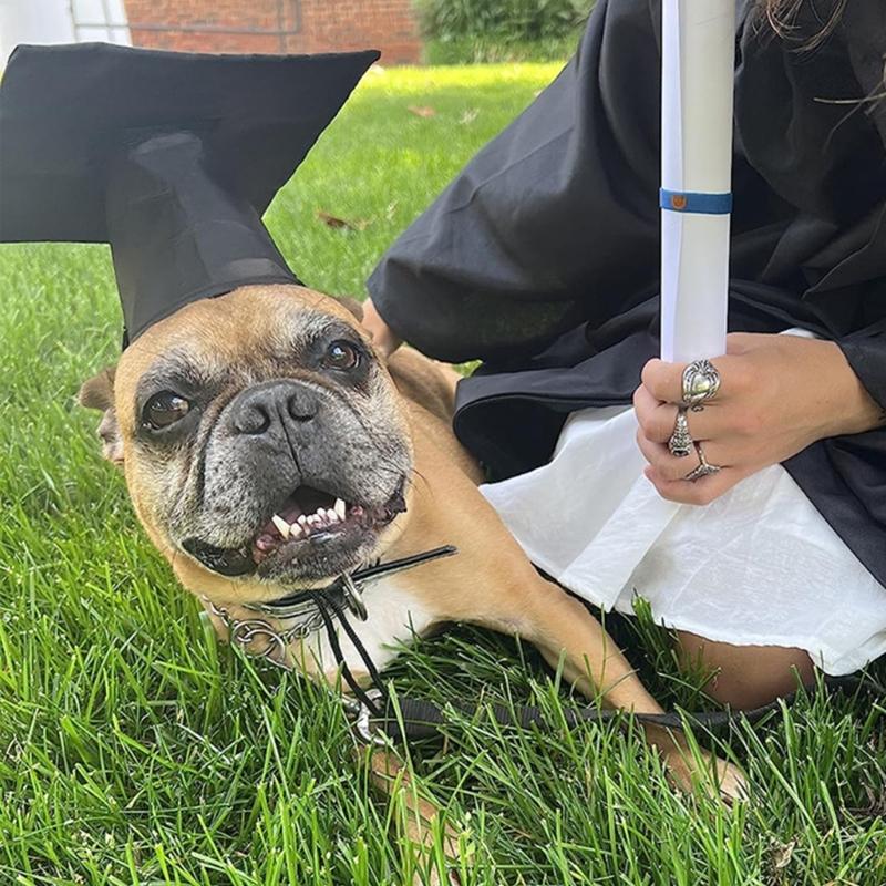 Yellow Tassels Dog Graduation Cap and BowTie Set for Pet Ceremonies Comfortable Polyester Party Accessory