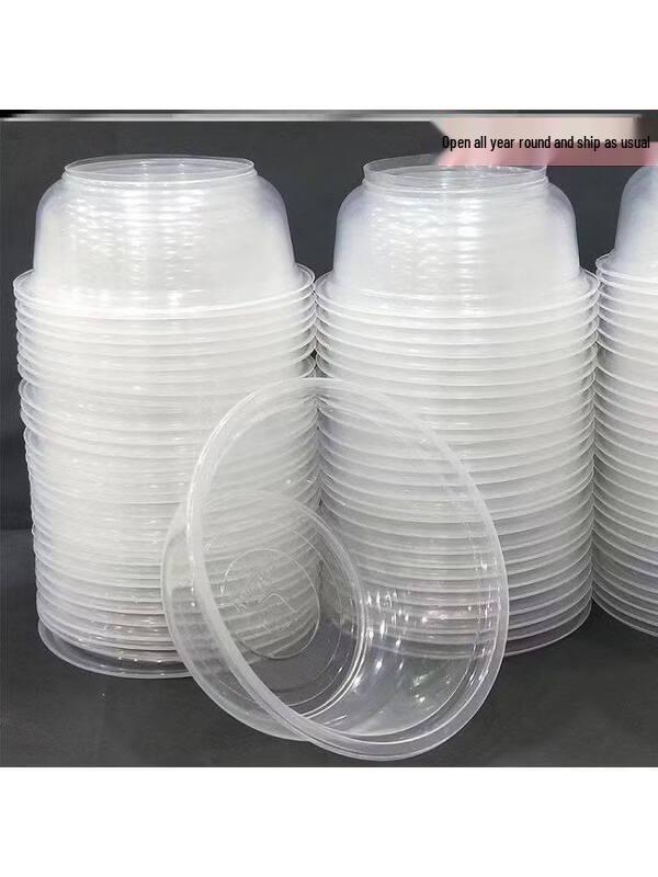 ZISIZ Disposable Plastic Bowl