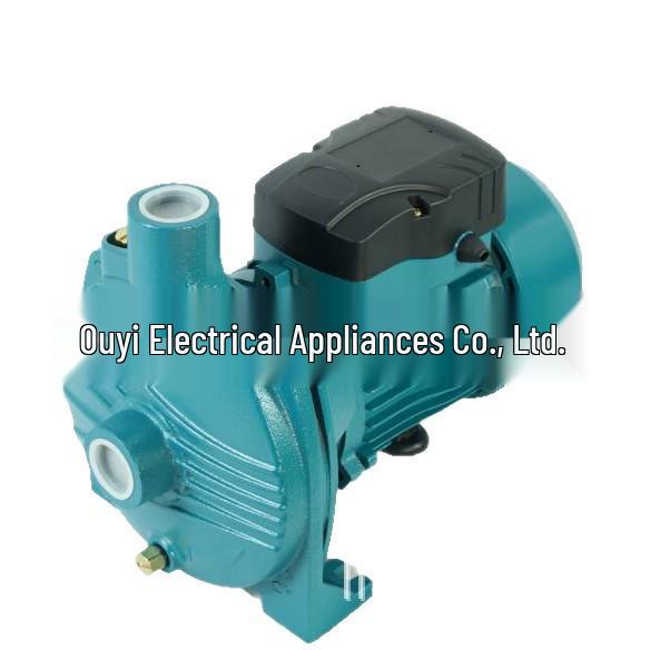 

CPM High-Flow Centrifugal Water Pump for Gardens