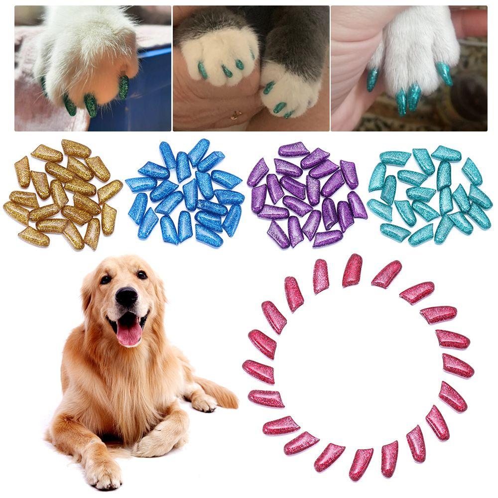 dog nail covers