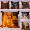 Beautiful Christmas Light Decorations Picture Third Pillow Case Silky Short Plush With Invisible Zipper Dustproof Sofa Cushion
