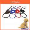 Premium Quality Dog Leash Retractable Nylon Leash For Dogs Various Sizes And Colors