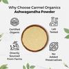 CARMEL ORGANICS Ashwagandha Root Powder, 100 Grams, Jaivik Bharat Certified, Pure Natural |  Ashwagandha Podi/Amukkara Kizhangu/Asvagandha Churna