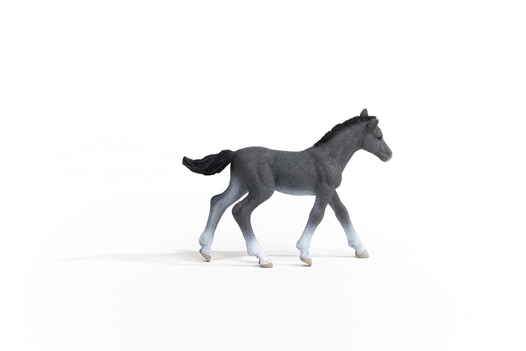 Schleich Horse Club Trakehner Ages Realistic Horse Animal Toy 13944 (foal) Figure, 6+,