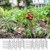 Tomato Twist Metal Tomato Supports Stakes Wind-Resistant Structure Garden Vine Plants Support Sticks For Fruit Vegetables