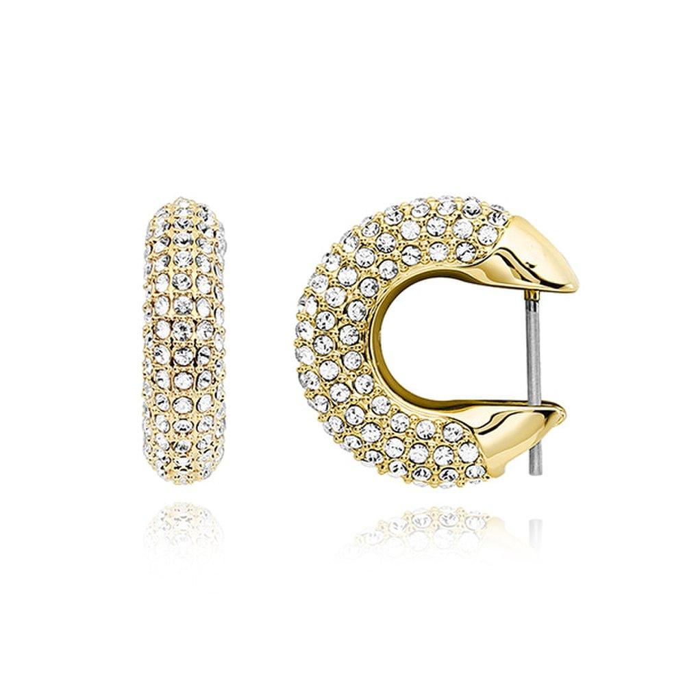 Dextera Small Hoop Earrings