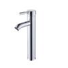 LANGZHIWEN Bathroom Sink Cold Water Faucet