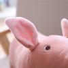 Plush Toy Pigg Pig Cartoon Accompany Sleeping Stuffed  Soft Toys 25cm