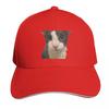Soggy Cat Baseball Cap funny hat Rugby western Hat Fishing cap Womens  Unisexs