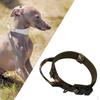 Köpek – Köpek Tasmaları ve Tasma Kayışları