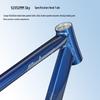 Lishi Disc Brake Thru-Axle Road Bike Frame