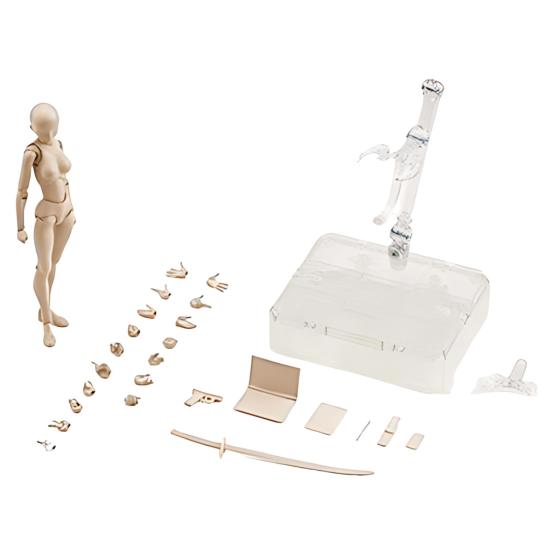 With Articulated Joints Sketching Painting Drawing Manikin Model Movable Joints Male Female Mannequin Poseable Figure