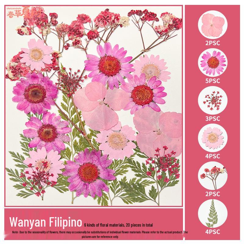 Handmade Pressed Flower Bookmark and Epoxy Sticker Pack with Real Leaf and Plant Specimens for DIY Face Makeup.
