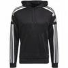 Herren Squadra 21 Hoodie