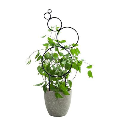 Indoor Plant Trellis Climbing Vine Rack for Garden Climbing Plant Metal Wire Stake Potted Plant Houseplant Lover Gifts