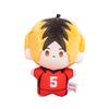 Haikyuu Volleyballspieler Plüschpuppe mit PP-Baumwolle für Fans und Sammler