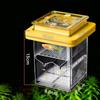 Breeding Tanks for Aquarium Fish Fry Isolation Box Hatchery Box for Fish Fry Clear Fish Spawning Box