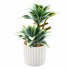 Green Simulation Succulent Flowerpotted Table Potted Fake Flower Bonsai  Desktop Ornament