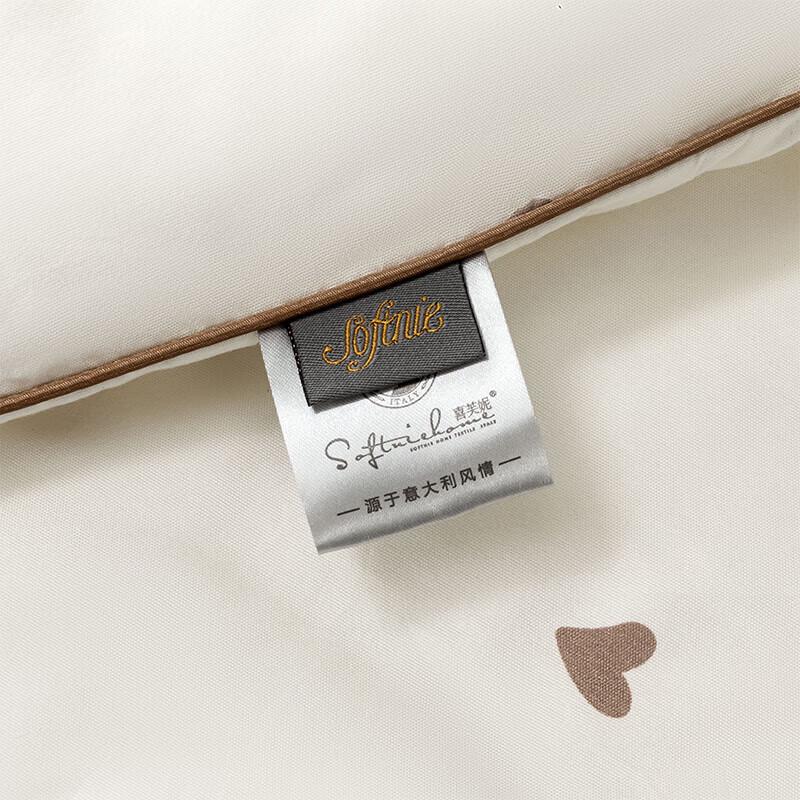 Xifuni Warm Brushed Microfiber Quilt