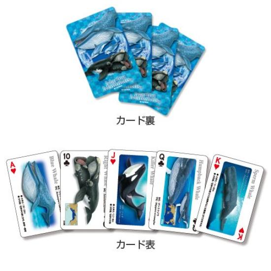 Carolata Real Marine Mammal Learning Playing Cards Marine Mammals Dolphins Whales Toys Educational Toys Playing Cards Games Encyclopedia Gifts