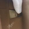 Louis Vuitton M55127 Monogram Mat Alston Shoulder Bag Matte Leather Beige