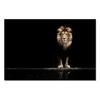 Modern Lion Family Wall Art Canvas Painting Print Posters Nature Animal Tiger Mural Pictures for Living Room Home Decoration