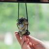 Cute Dog Car Rearview Mirror Ornaments Hanging Pendants Keychain Accessories