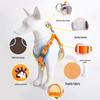 Reflective Adjustable Dog Harness and Leash Set for Small Breeds - Breathable Vest Style