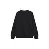 Jordan Sweatshirts Men's Black Crew Neck Moderate Regular DV1576-010