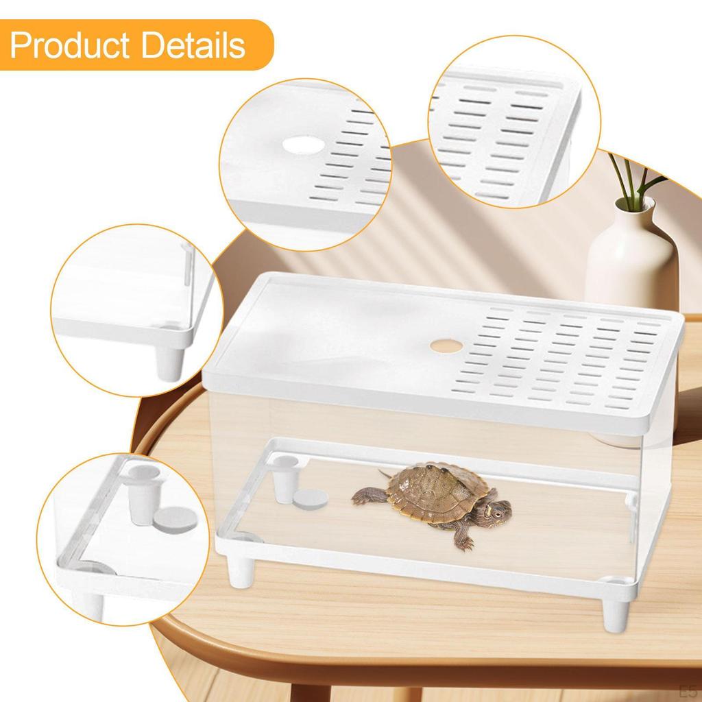 Breeding Box for Small Pets, Transparent Container Reptiles