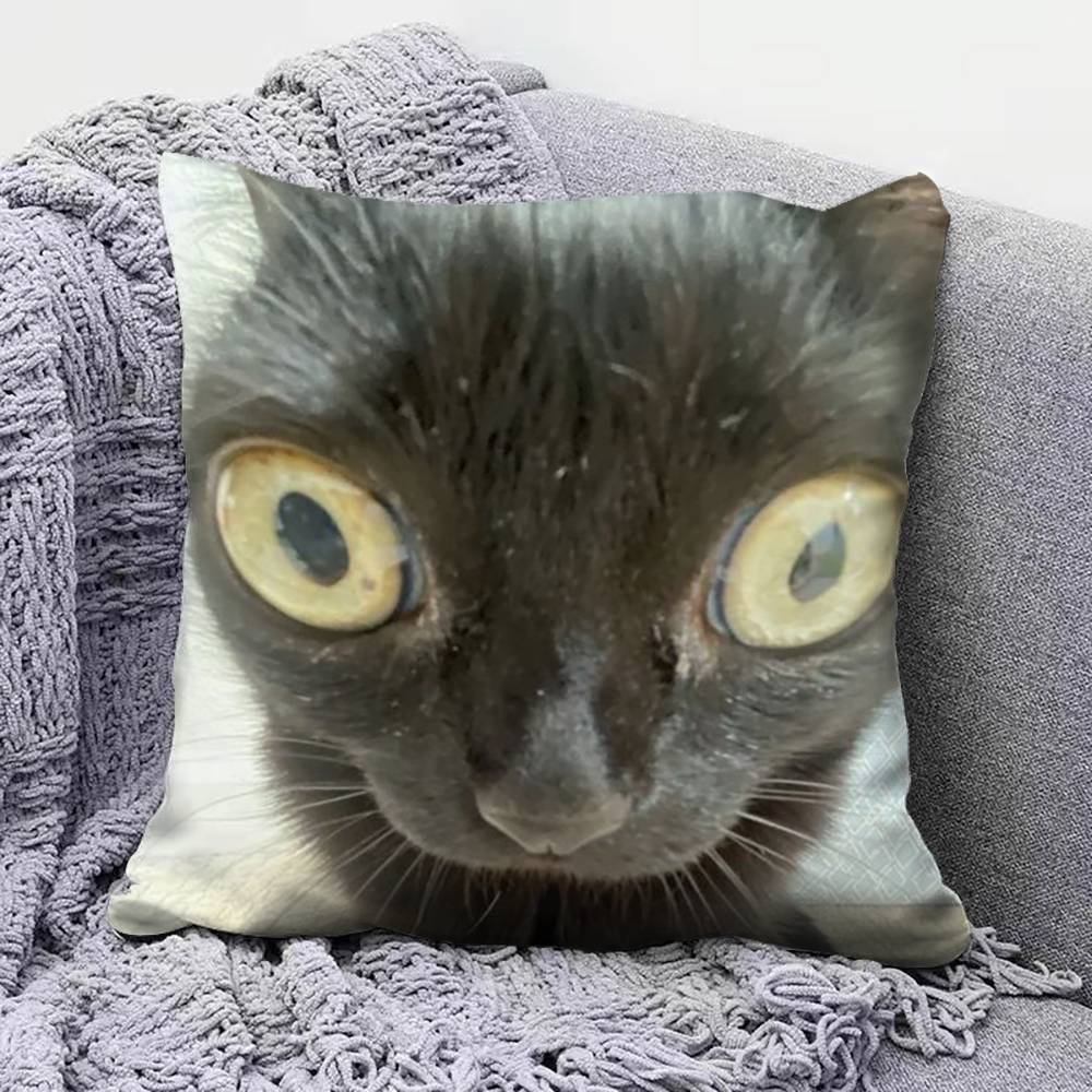 Funny Cat MMeMe Pillow Covers Home Sofa Cushion Covers and Aecorative Custom