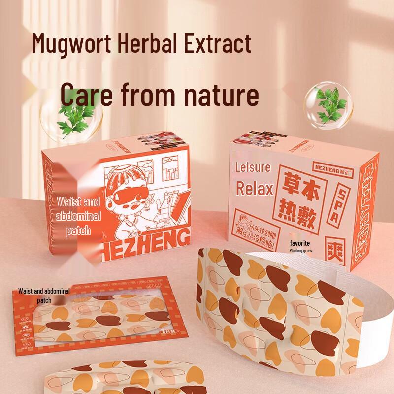 HeZheng Self-Heating Warming Waist Patch Set CN plug (adapter included)