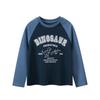New Korean-Style Spring Tops for Older Children, Children's Clothing, Boys' Cartoon Dinosaur Long-Sleeve T-Shirt, Raglan Pure Cotton Base Shirt