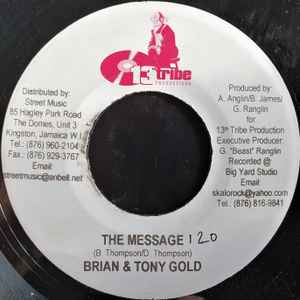 7inch Record BRIAN & TONY GOLD / SANDY STAR - The Message / Try Me NONE 13th Tribe Prod 2005 Jamaica Reggae, Ska & Dub Used