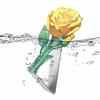 Stainless Steel Rose Tablecloth Clip Non-slip Indoor Outdoor Wedding Party Picnic Camping Table Cover Holder Fixing Clamp