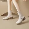 Augustine Black Socks Boots Women's 2025 New Autumn French Thick Heel Thick Sole Elastic Thin Boots Mary Jane Shoes