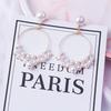 Dongdaemun's New Ins Hollow Circle Long Pearl Earrings, Simple Temperament and Thin Fringed Earrings Mixed Batch of Women