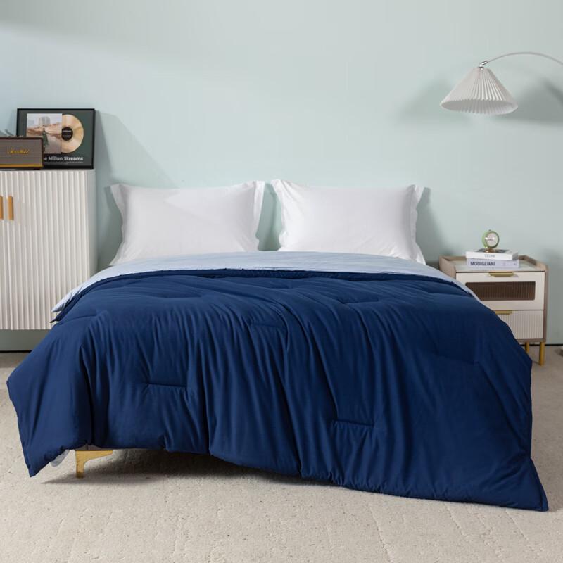 Guroo Home Textile Skin-Friendly 2-in-1 Four Seasons Duvet