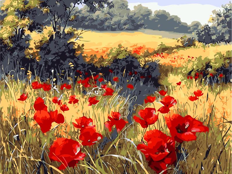 Campo di Papaveri Rossi al Tramonto - Kit di dipingere con i numeri