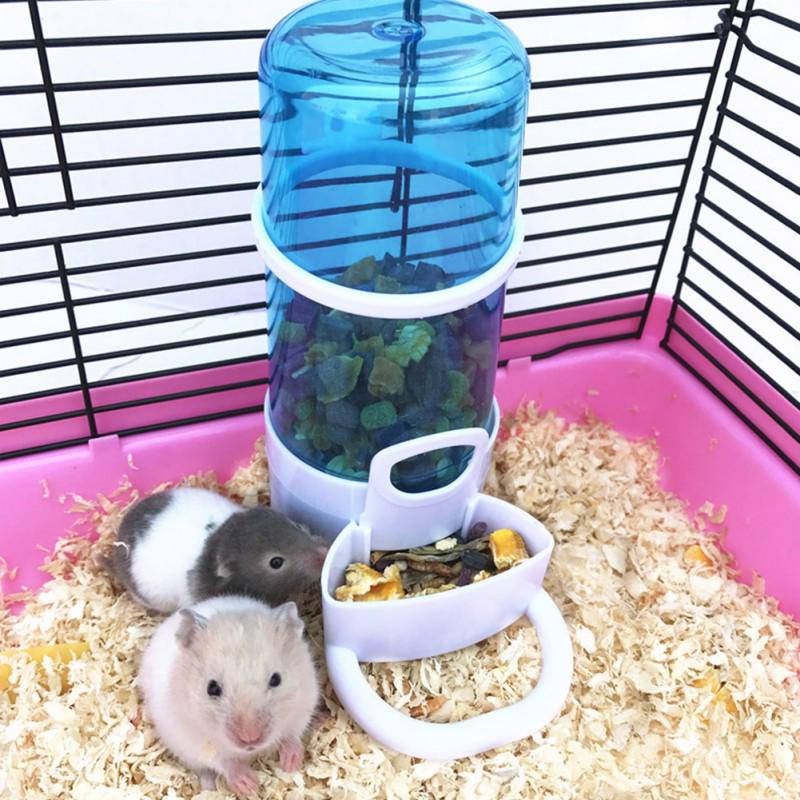 automatic small animal feeder