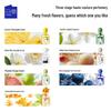 Bai Xi Probiotic Camellia Mouthwash