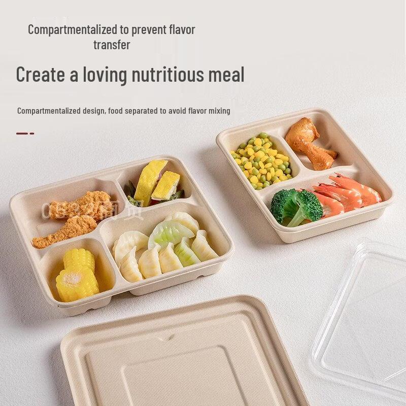 ZISIZ Biodegradable Disposable Lunch Box