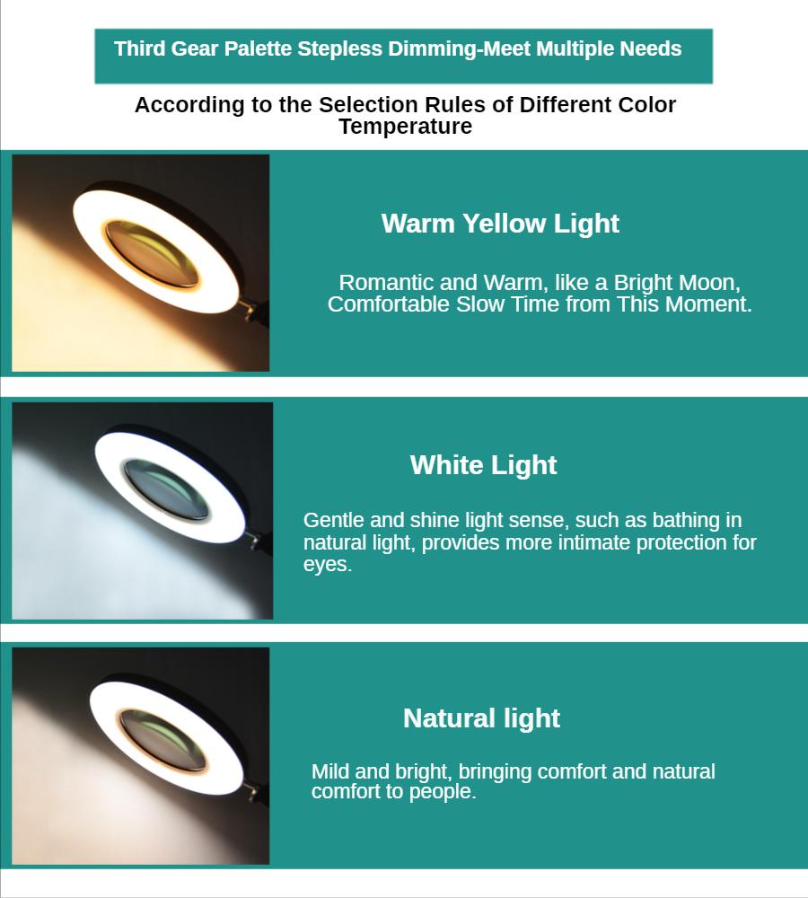 2024 NEW 200MM Diam 120 LED 8X Magnifying Glass for Reading Soldering station phone with LED light stand Illuminated magnifier